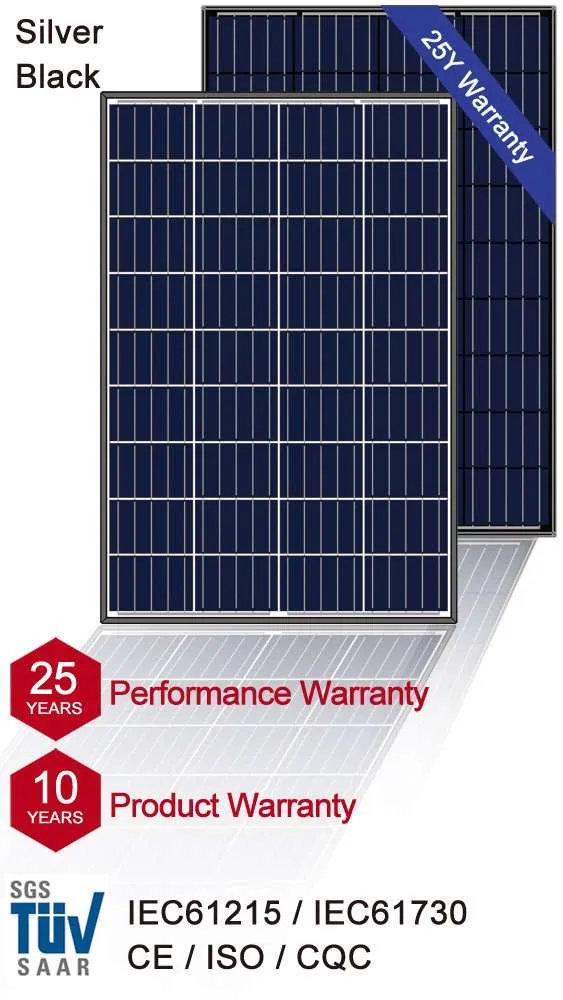 Module solaire poly 100 W
