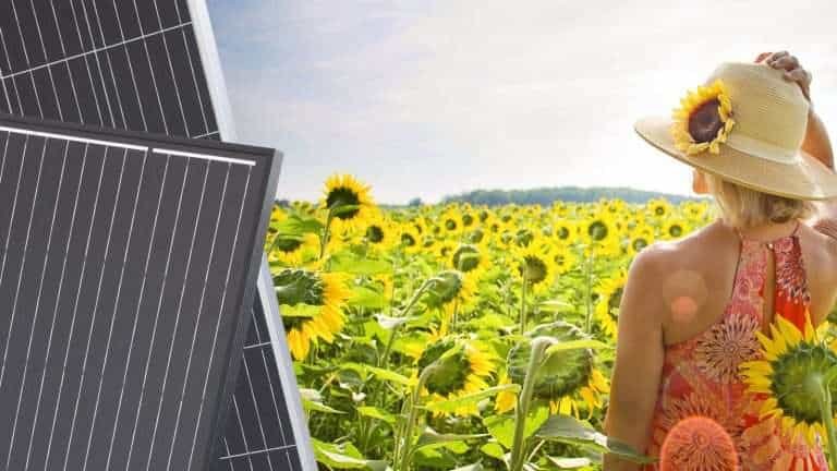 158.75mm PERC Mono Solar Panel