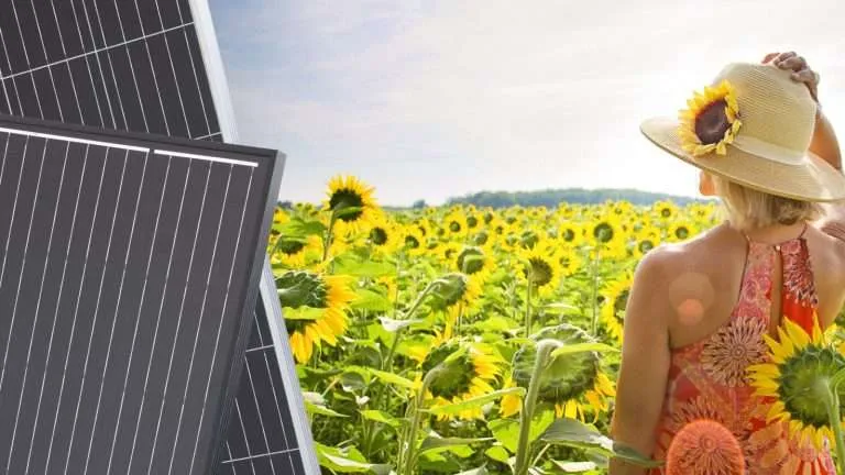 Panel solar monocristalino PERC de 158,75 mm