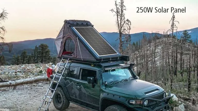 Prix du panneau solaire 250 W Mono PERC