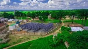 Potentiel solaire africain Mini-réseaux solaires
