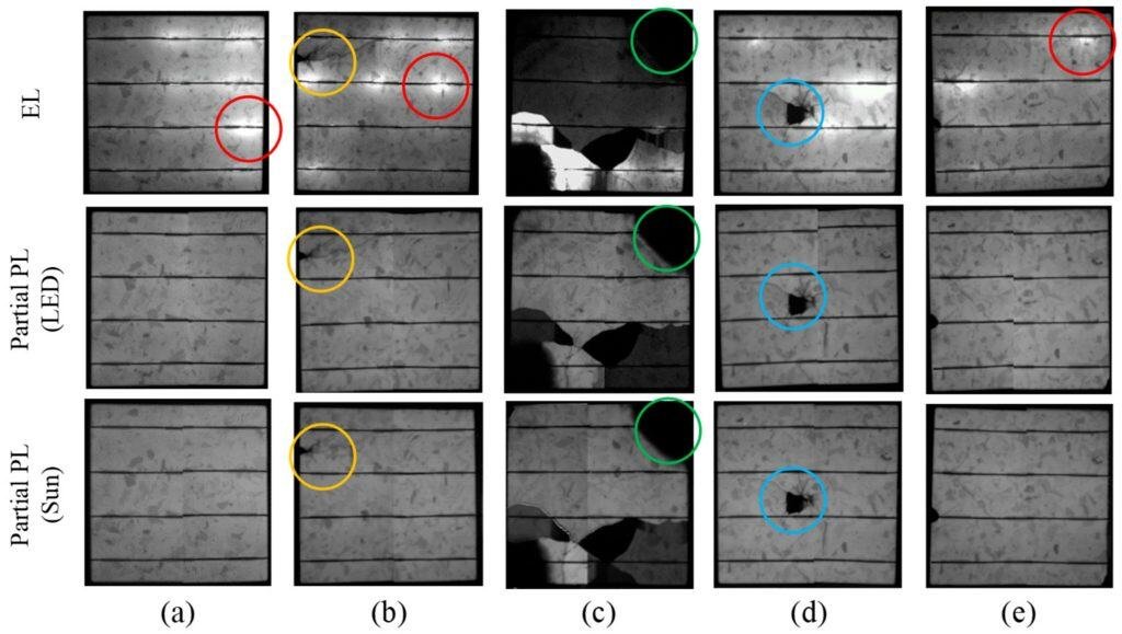 Common defects revealed by PL and EL imaging techniques
