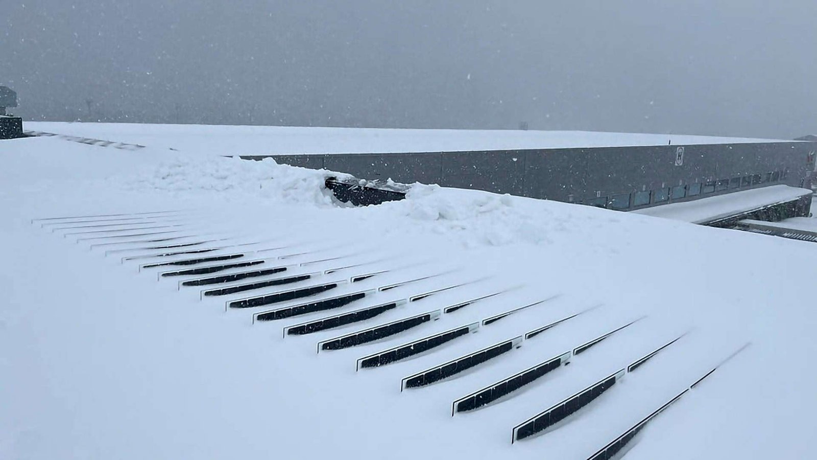 Principales amenazas a la vida útil de los paneles solares y cómo evitarlas