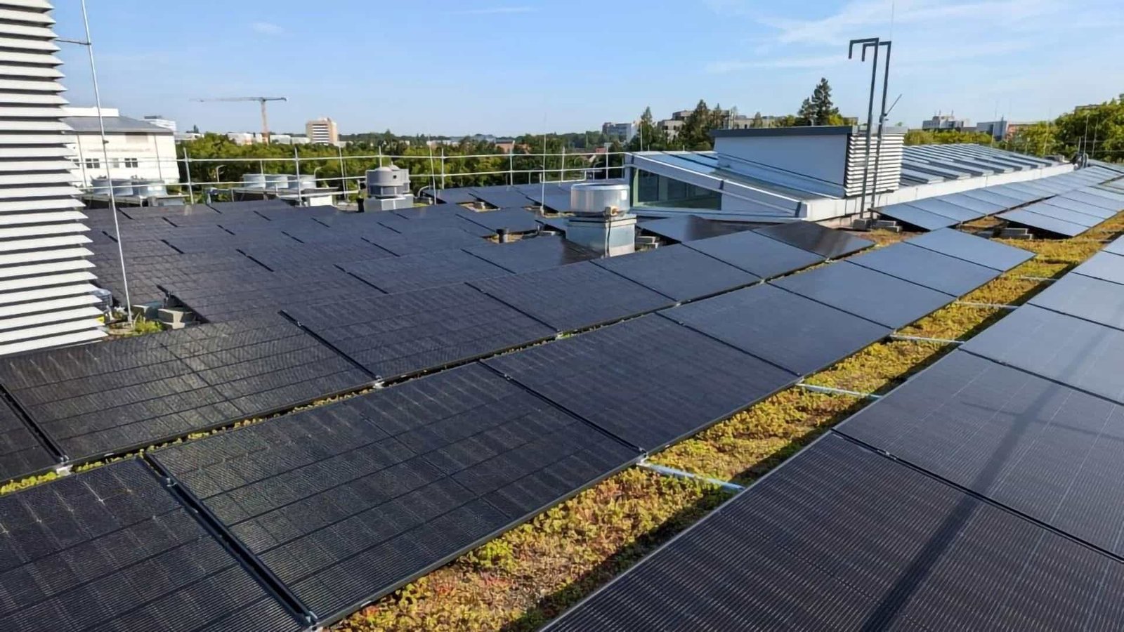 Paneles solares TOPCon totalmente negros para proyectos comerciales