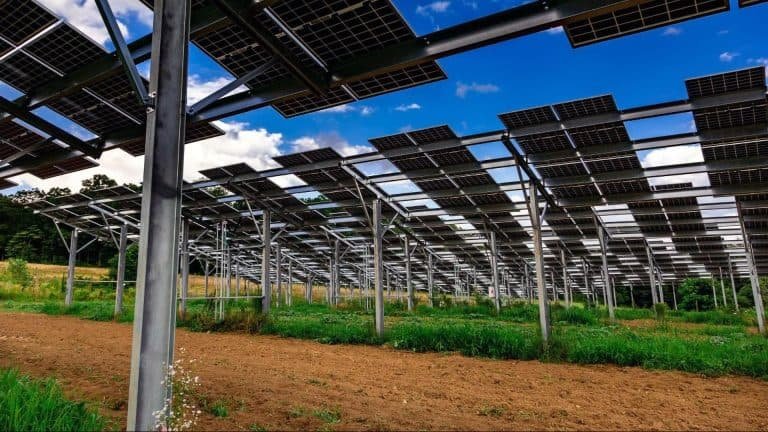 مضاعفة دخل مزرعتك: دليل الطاقة الشمسية والزراعة 2025