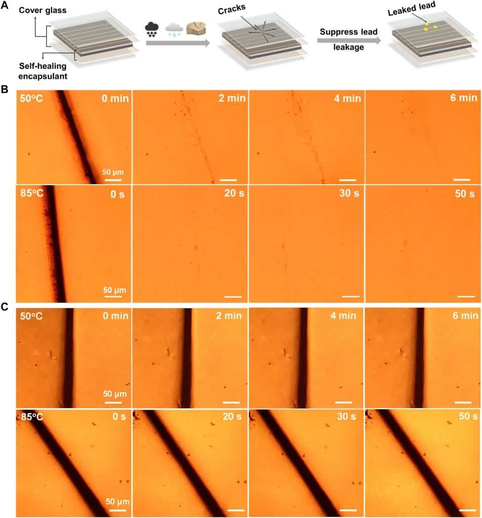 Die Selbstheilungseigenschaften des EP-Verkapselungsmaterials.